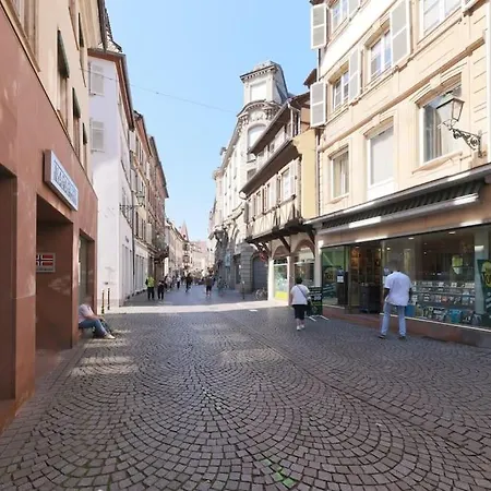 Le Nid Alsacien - T2 Au Centre De Apartment