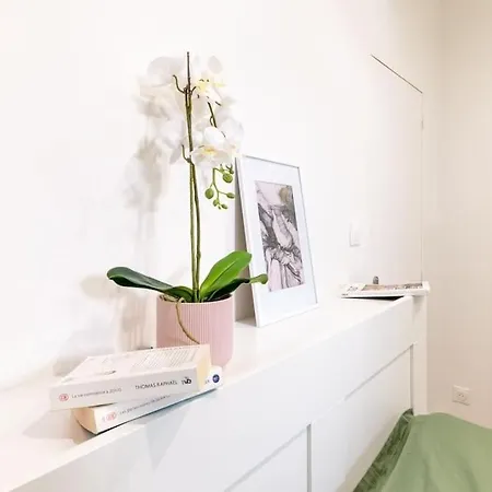 Le Nid Alsacien - T2 Au Centre De Strazburg